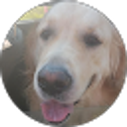 Profile photo of Matthew Listermann