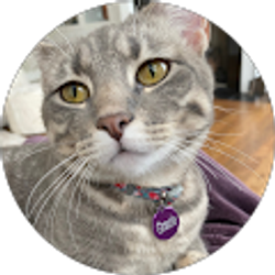 Profile photo of Lori Emery