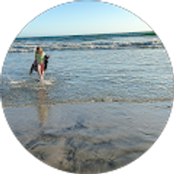 Profile photo of Kelly Cantrell