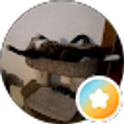 Profile photo of Lizzbeth Katt