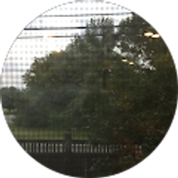 Profile photo of manye schmidt