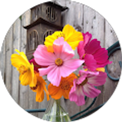 Profile photo of Sonja Stengel