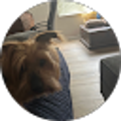 Profile photo of Bill Martin