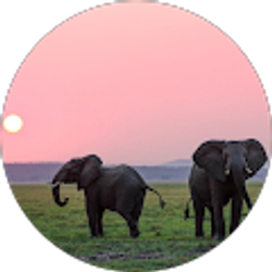 Profile photo of Abigail McEwen