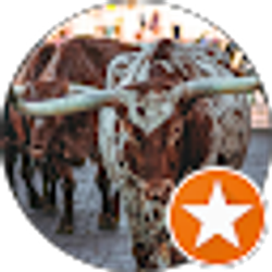 Profile photo of Jack Lambert