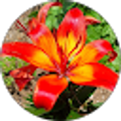 Profile photo of Angela Talmadge
