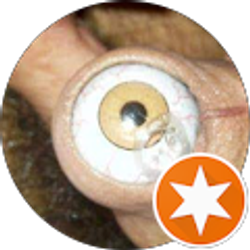 Profile photo of Daniel J. Appelgrein