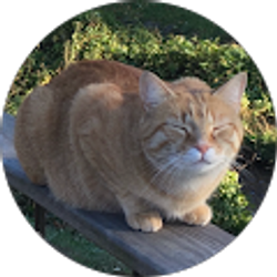 Profile photo of Timothy Brown