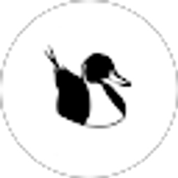 Profile photo of SoHo Flight Co
