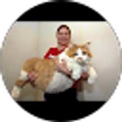 Profile photo of Ahmad A