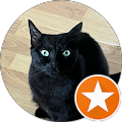 Profile photo of J.E Sears