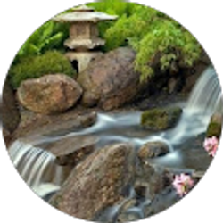 Profile photo of Joshi