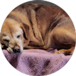 Profile photo of Rocky Rawson