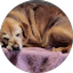 Profile photo of Rocky Rawson