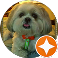 Profile photo of Linda Gaskin