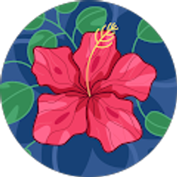 Profile photo of alessandra alioto