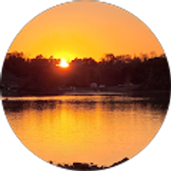 Profile photo of Sandra Moffat