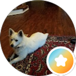 Profile photo of Daniel Costantini