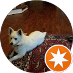 Profile photo of Daniel Costantini