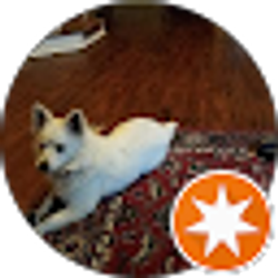 Profile photo of Daniel Costantini