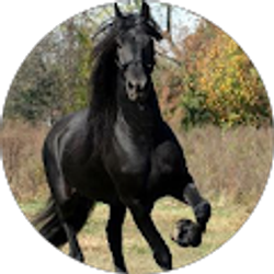 Profile photo of Michael F