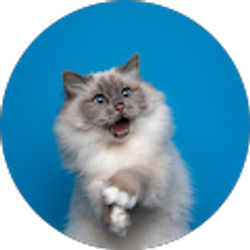 Profile photo of John Barker