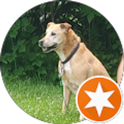 Profile photo of Cheryl Hoffman