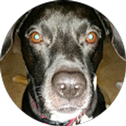 Profile photo of Dan Cooley (Wheezer)