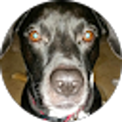 Profile photo of Dan Cooley (Wheezer)