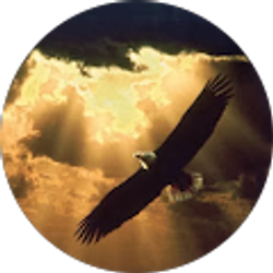 Profile photo of Matt Salinas