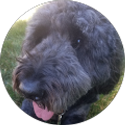 Profile photo of Michele W