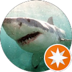 Profile photo of Mark VanPatton