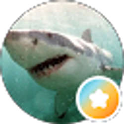 Profile photo of Mark VanPatton