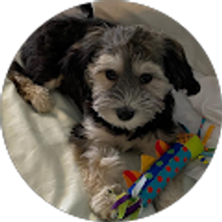 Profile photo of Bonnie Shearin