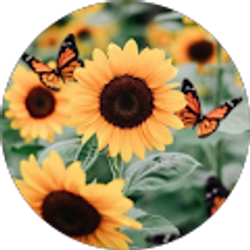 Profile photo of DeeDee Bogle