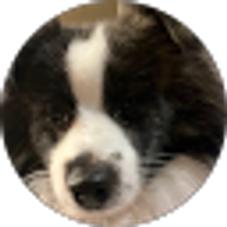 Profile photo of Brenda Wickline