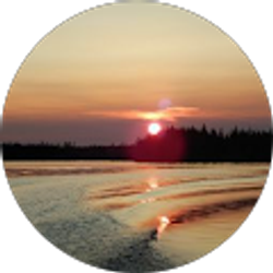 Profile photo of D States