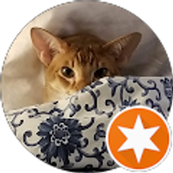 Profile photo of JM Seattle