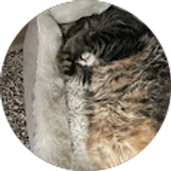 Profile photo of Linda Hartsfield