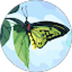 Profile photo of Bartira Tiburtius