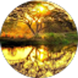 Profile photo of Tambria Lloyd