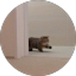 Profile photo of Anderly Pasos