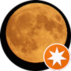 Profile photo of Tom D