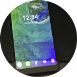 Profile photo of The cattier K