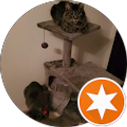 Profile photo of Jerrod Schumacher