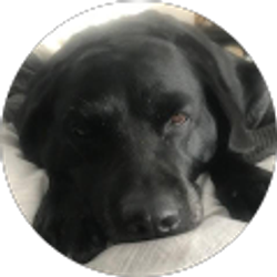 Profile photo of Tara K