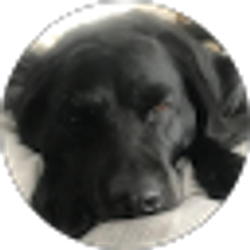 Profile photo of Tara K