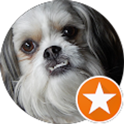 Profile photo of robert britton