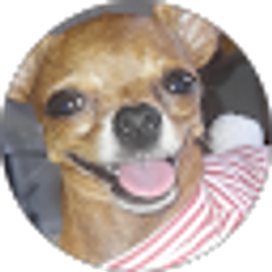 Profile photo of Diana carolina Diaz betancurt