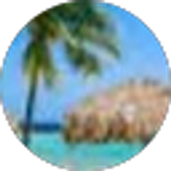 Profile photo of Anne Roth